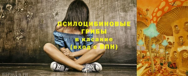 гидропоника Пролетарск